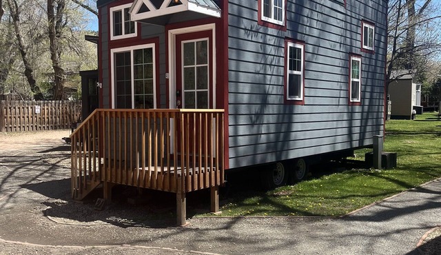 Discover Tiny Living: Spacious Pinewood Tiny Home in the Heart of Lyons, CO