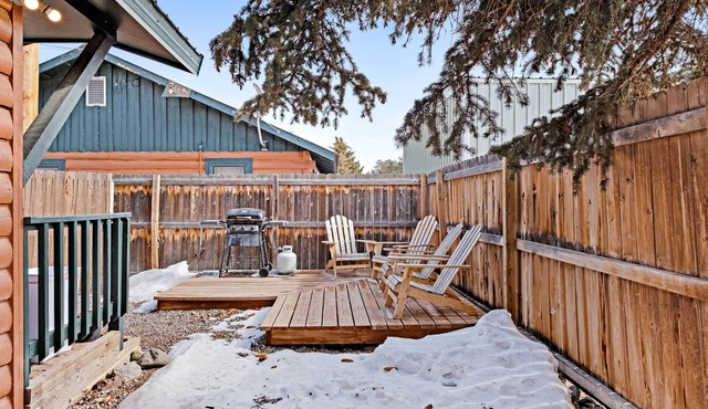 Dog-friendly cabin with WiFi, private yard, & Fireplace - ideal for hiking & skiing