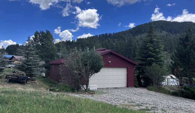 Dog-friendly house close to trails, fishing pond and National Forest