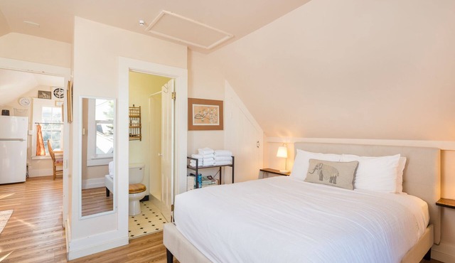 ☮️Downtown Loft-Sauna,Bikes,Hot Tub & Great Fun awaits you-Dog ok