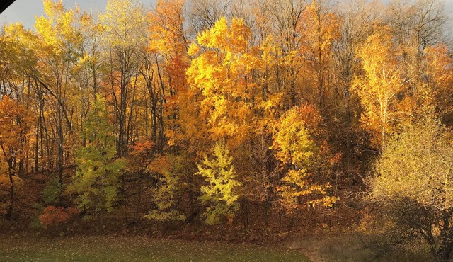 Enjoy fall foliage in a 2BR suite with fireplace in gorgeous Boyne Falls