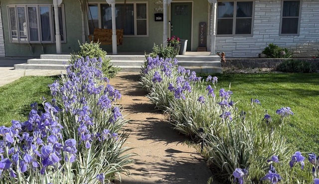 Fully Renovated Cozy Home