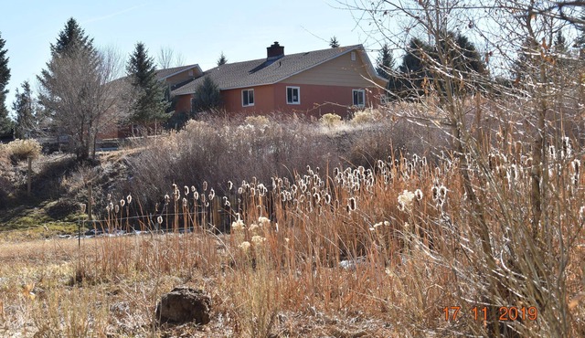 Heron's Landing: Walk to town from 17 acres of wildlife preserve