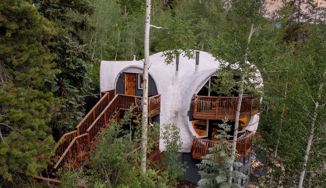 Iconic Vail Unique Dome Home in Mtns | D3