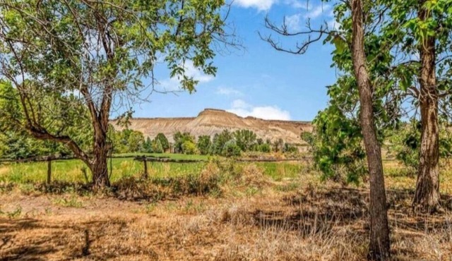 Lavender Farm Cottage in Palisade Wine Country