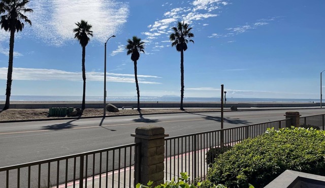 Luxurious Cozy Beach Front Condo!(Steps to the sand)