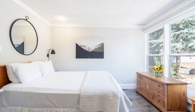 Modern, Updated Dog-Friendly Kitchenette at the Mountainside Inn