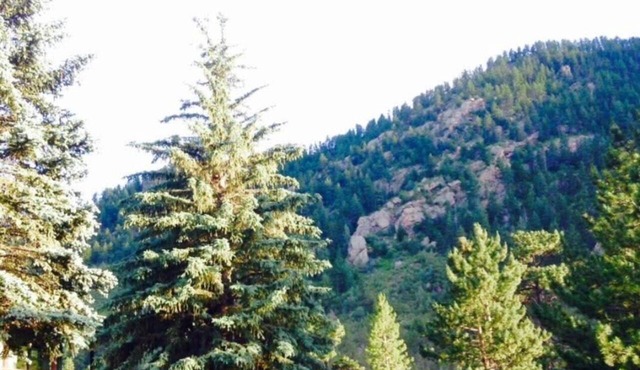 Mountain Escape Near RMNP, Views, River Access, Dogs OK