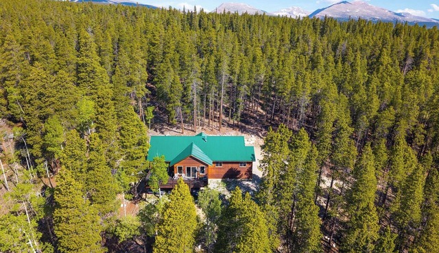 Mountain Modern Cabin w/Hot Tub, near 14-ers and Breckinridge