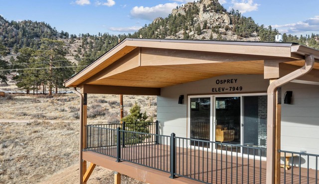 Osprey Cabin- Newly remodeled- Cabin-Amazing Views
