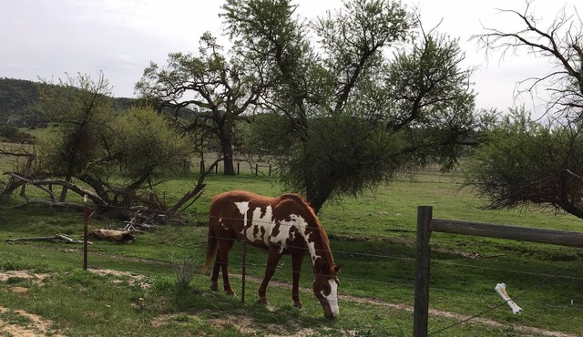 OYB Ranch-Beautiful Endless Views!