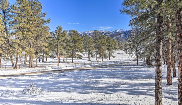 Pagosa Springs Gem w/Yard, Decks + Mtn Views!