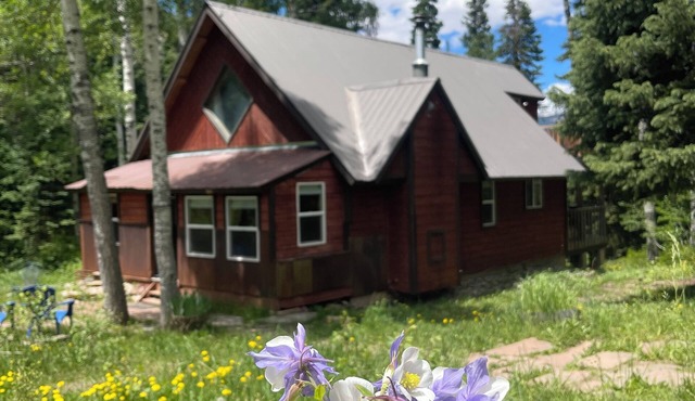 Peaceful mountain cabin 1/2 way between Durango and Silverton