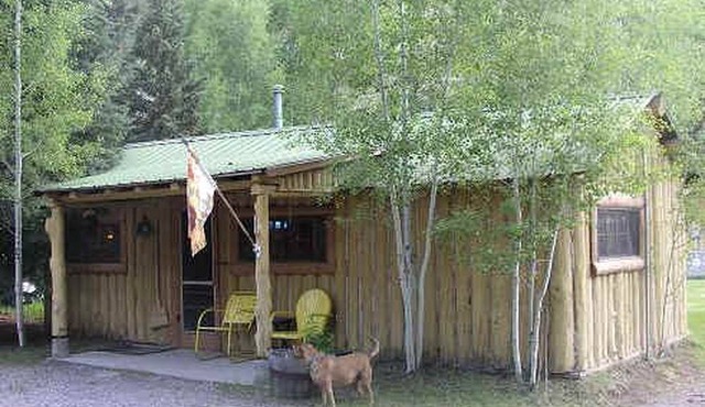 Pet-Friendly Log Cabin Rental for a Bucolic Getaway in Lake City, Colorado