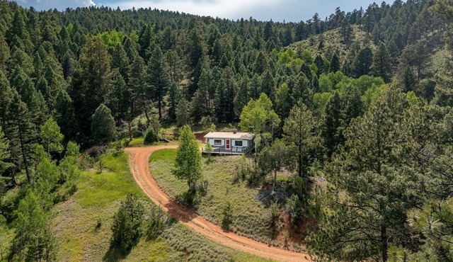 Pike National Forest Cabin Getaway with Mountain Views and Fire Pit