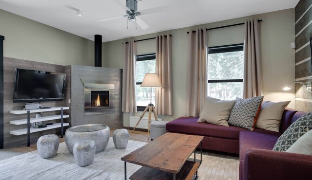 Posh, Pet-Friendly Chalet with Fireplace, WiFi