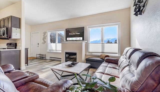 Princeton View! Posh Downtown King Workspace!