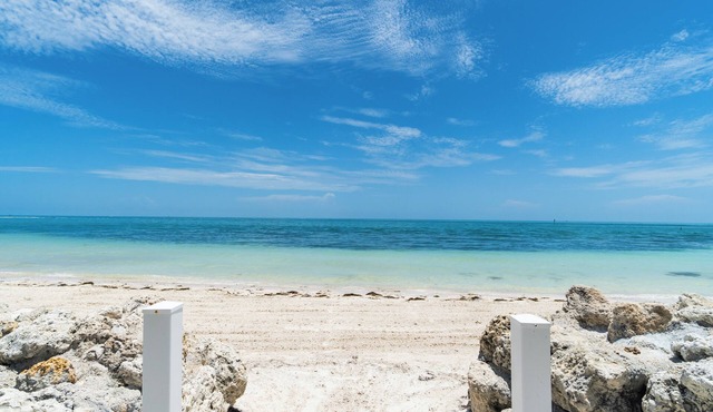Pristine Oceanview Condo with Private Beach and Heated Pool