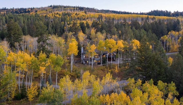Private Parking w/ski Locker Beaver Creek Great Views, Family & Pet Friendly