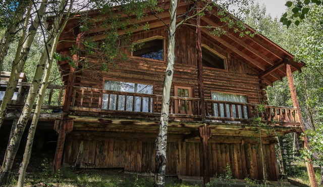 Remote Cabin w/Loft in Beautiful Southwest Colorado - Pet Friendly - Sleeps 6