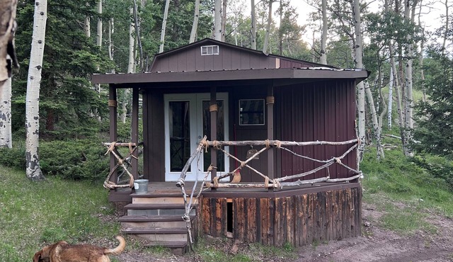 Reserve now for the Aspen Grove leaf change in October!