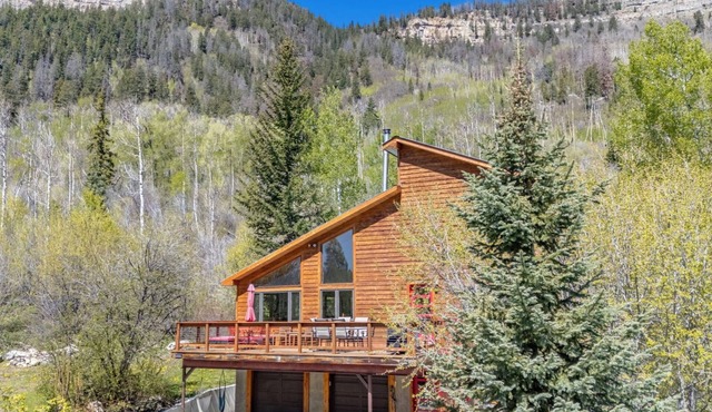 Secluded Getaway Near Purgatory - Luxurious Hot Tub, Idylic 360° Views, Pets OK!