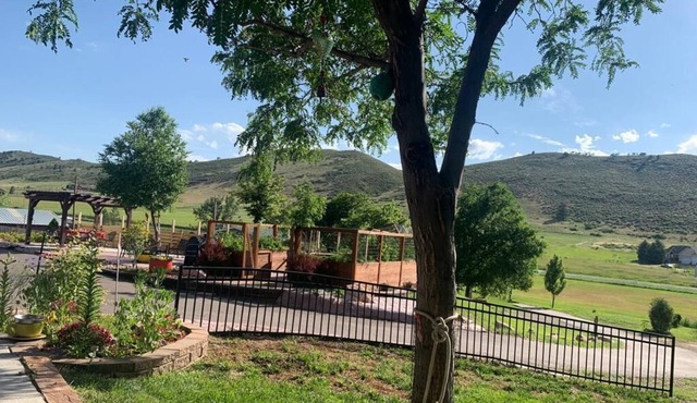Serene getaway nestled within beautiful Mountains with abundance of wildlife.