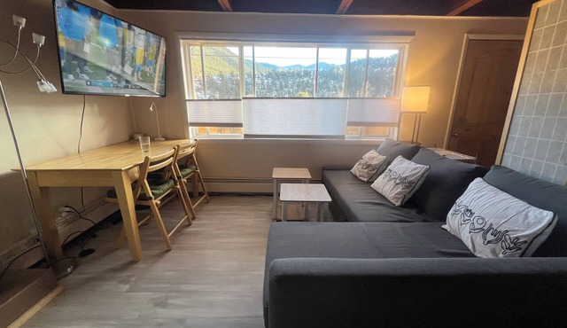 Spacious Studio - partitioned bedroom, dining area and extra sleeping areas
