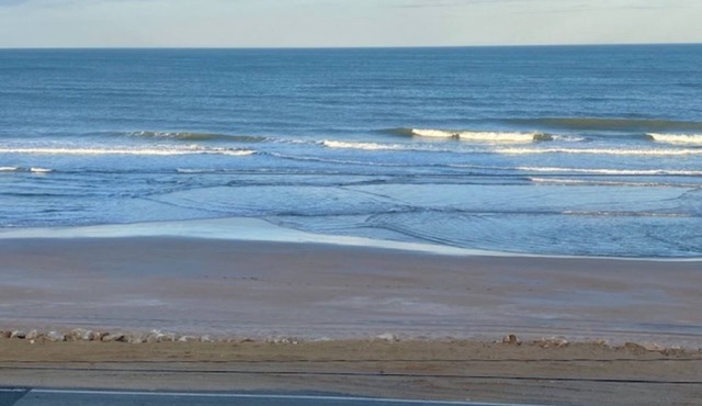 Stunning 2/2 Pool & Ocean View Condominium in Ormond by the Sea