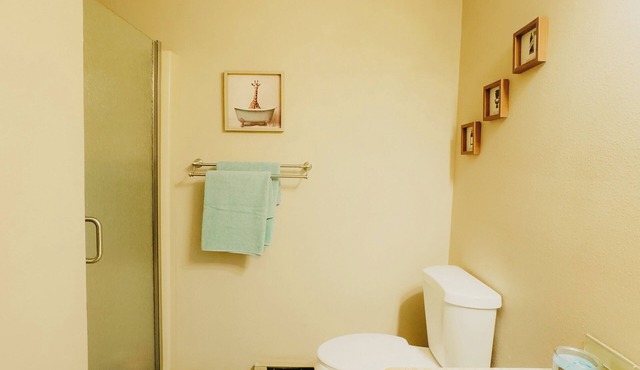 Sunrise Ridge SwimSpa Pikes Peak Views Sleeps 10