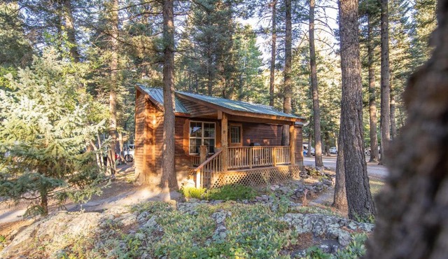 The Iris Cabin #1 at Blue Spruce RV Park & Cabins