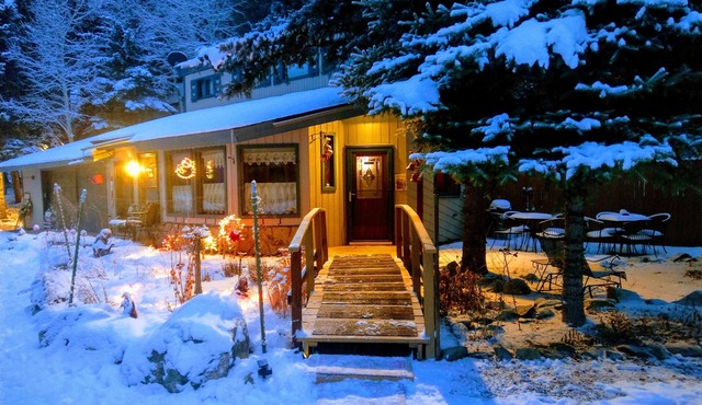 The McClure House - A Cowboy Cabin in the Woods. Pets stay free!