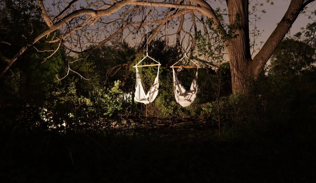 Tranquil campground in Clio perfect for your outdoor getaway
