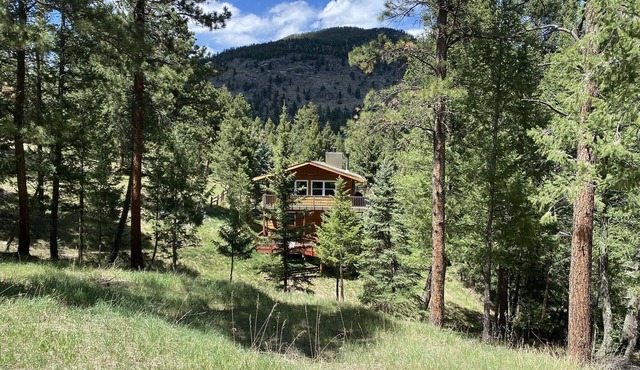 Updated House with 💯% privacy, secluded 2acres & lots of outdoor living areas.