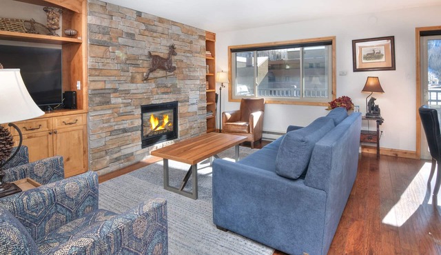 Vantage Point Condo 201 | Spacious 2BR in Lionshead Village
