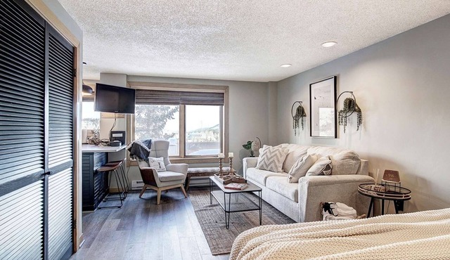Village at Breckenridge Studio 4217 - Ski-In/Out Condo 1 block to downtown