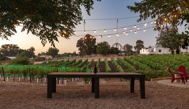 Vitara Vineyard, a Modern Farmhouse in the Heart of Wine Country