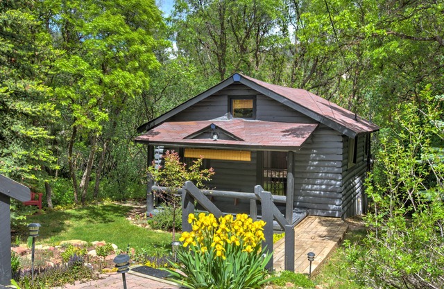 A hidden gem! Cabin nestled in the trees in Glenwood Springs.