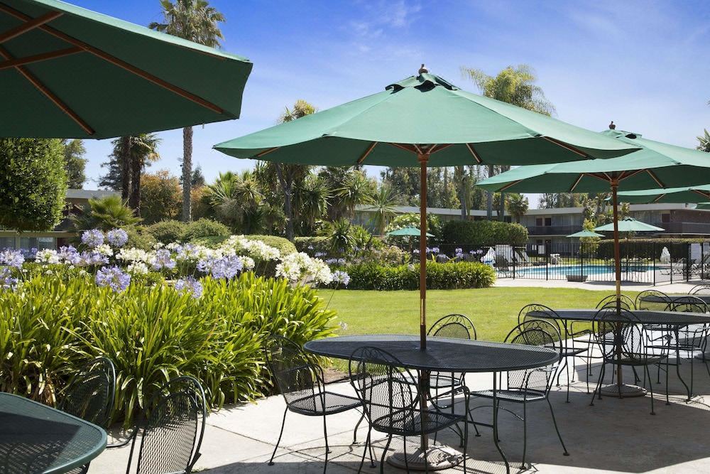 Photo of Patio Balcony in Sunnyvale