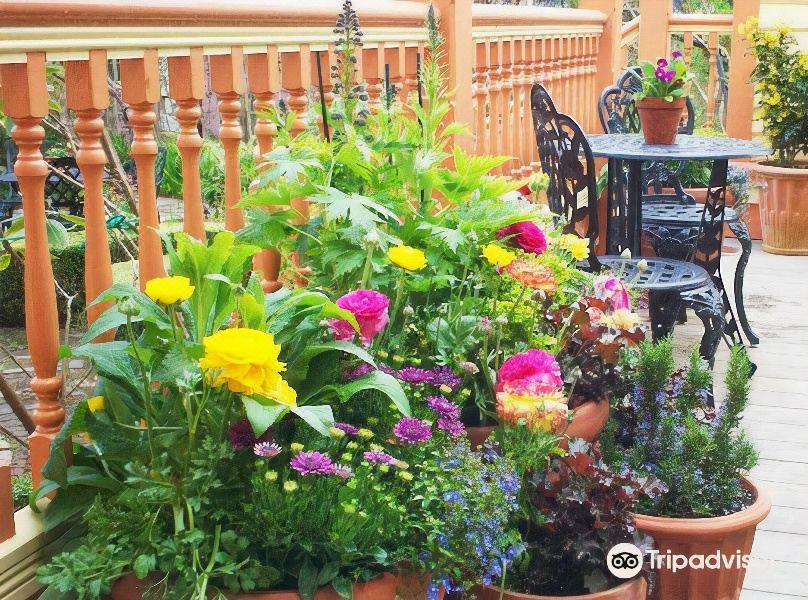 Photo of Patio Balcony in Ferndale