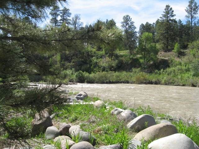 Photo of Others in San Juan River Village
