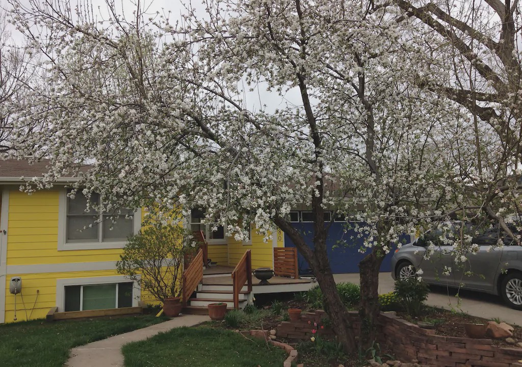 Photo of Outdoor in Rural North Boulder