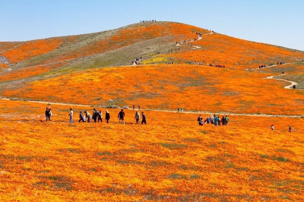Photo of Others in Leona Valley