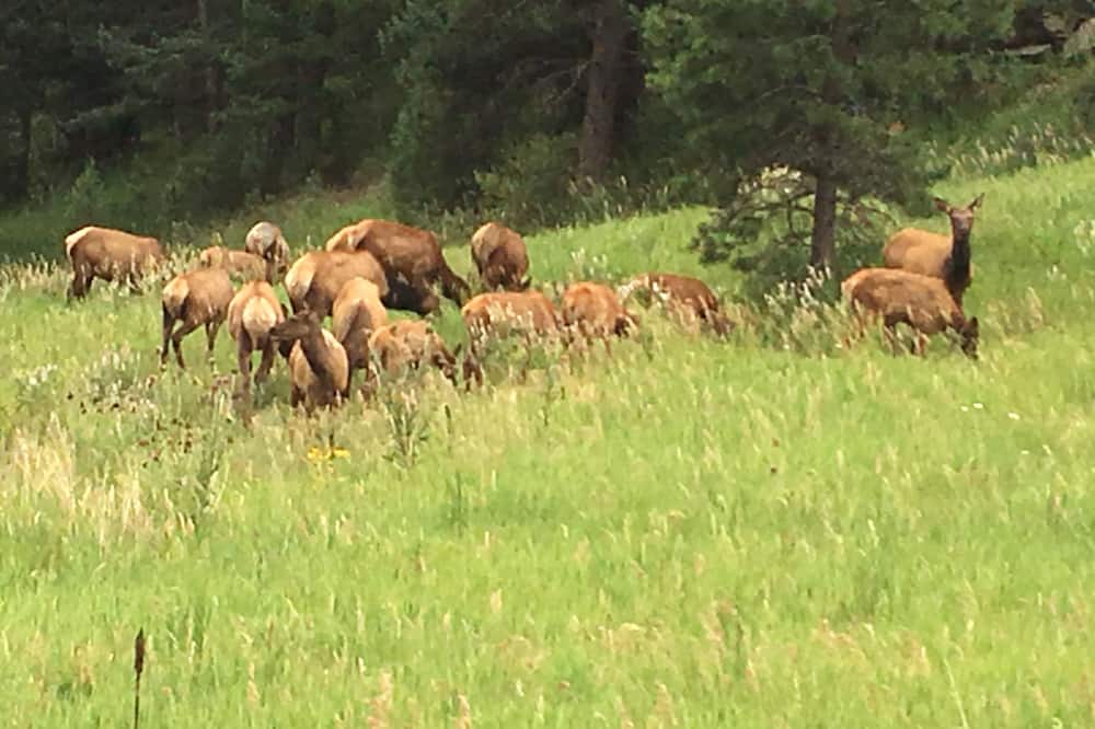Photo of Outdoor in Kerr Gulch