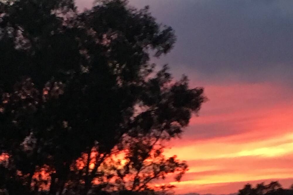 Photo of Others in Paso Robles