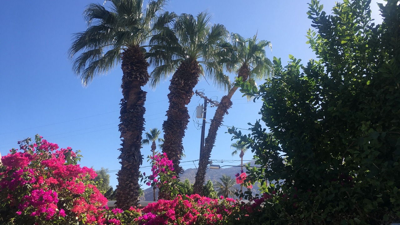 Photo of Outdoor in Chino Canyon