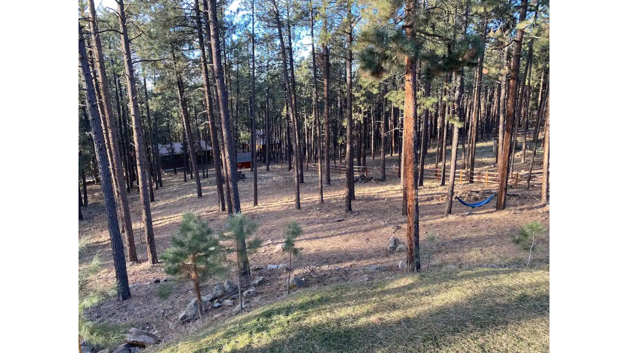 Photo of Others in Forest Lakes
