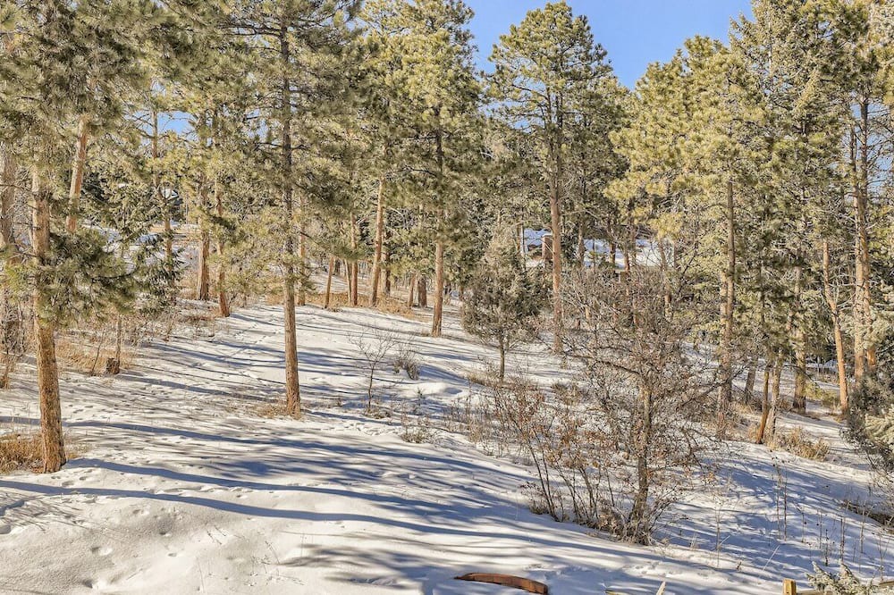 Photo of Outdoor in Morrison