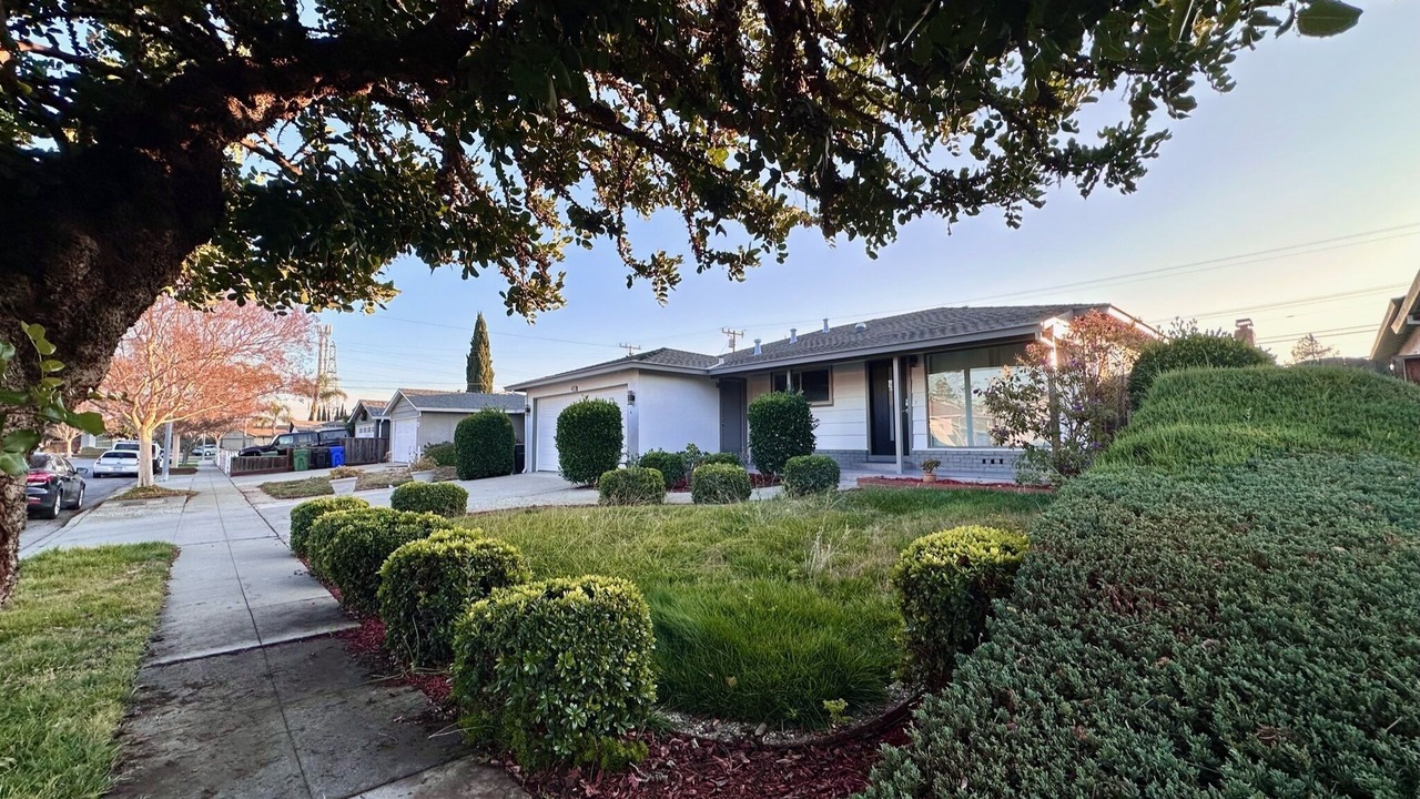Photo of Outdoor in South Sundale