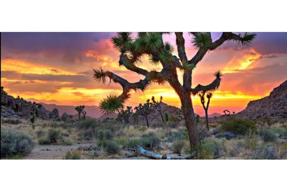Photo of Outdoor in Ridgecrest